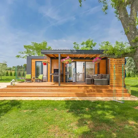 Ive & Beta, Olive Grove, Sea, Swimming Pool, Jacuzzi, Fenced Yard, Barbecue - Istria Holiday home
