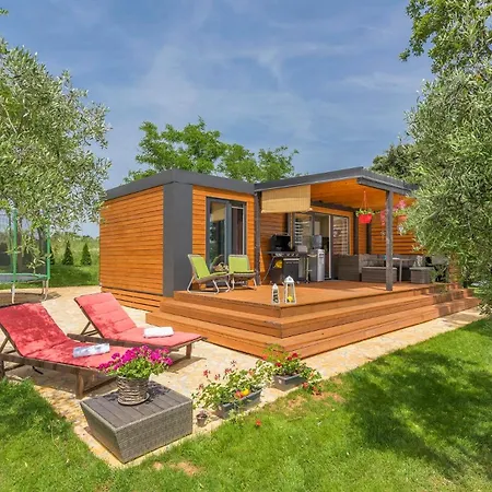 Holiday home Ive & Beta, Olive Grove, Sea, Swimming Pool, Jacuzzi, Fenced Yard, Barbecue - Istria *