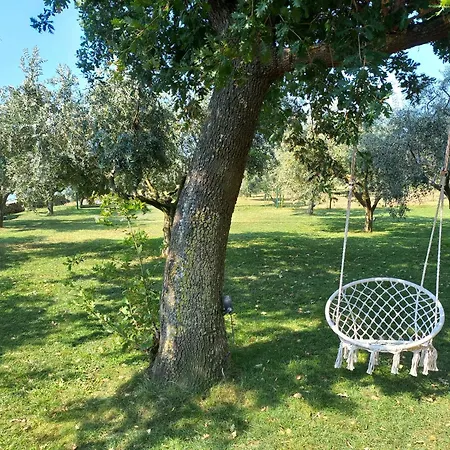 Ive & Beta, Olive Grove, Sea, Swimming Pool, Jacuzzi, Fenced Yard, Barbecue - Istria Pula