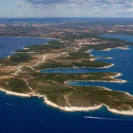Feriehus Ive & Beta, Olive Grove, Sea, Swimming Pool, Jacuzzi, Fenced Yard, Barbecue - Istria *